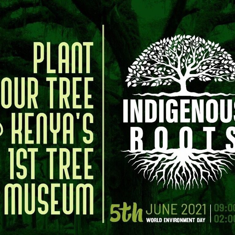 Partnership with Miti Alliance